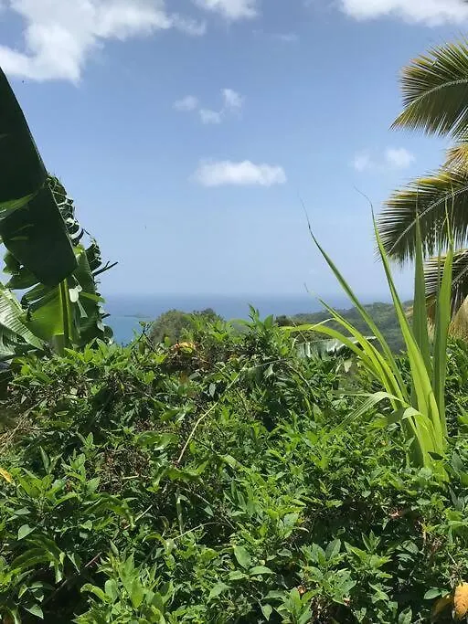 Tropical Cottage En Eco Casa Algana El Limon Dominican Republic